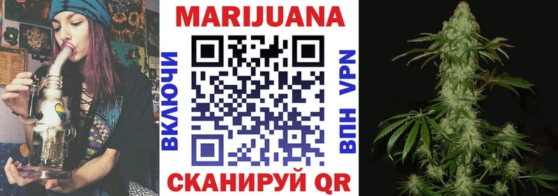 Канабис сатива Сунжа