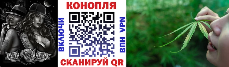 Бошки марихуана индика  Сунжа 