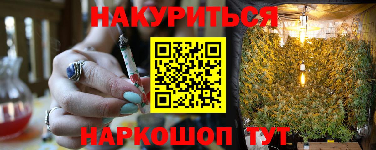 Шишки марихуана Ganja Сунжа